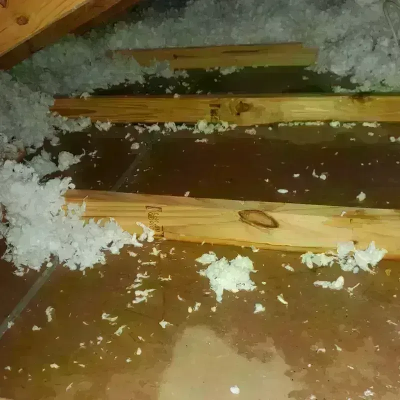 Attic Water Damage in Metairie Terrace, LA